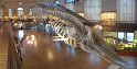 IMG_7867 - Panorama